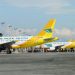 Cebu Pacific ties up with Airlink for disaster response