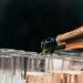 Party is over for Champagne as sales drop after two record years