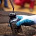 Oil prices seen to remain elevated