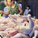 Higher costs holding back chicken production