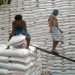 Rice inventory declines in early June; corn stocks edge up