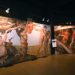 Michelangelo up close: Exploring the Sistine Chapel exhibition