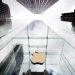 Why has France banned sales of Apple’s iPhone 12?