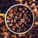 Coffee firms won’t be ready to comply with EU deforestation law – report