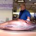 Russia mulls joining China in banning Japanese seafood imports