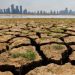 El Niño to continue into mid-2024 — FAO