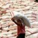 India to allow export of non-basmati white rice to Philippines, other countries
