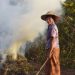 Southeast Asian ministers commit to eventual elimination of crop burning