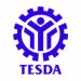 TESDA gets P50M to hire assessors