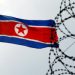 Second North Korean nuclear reactor appears to be operational, IAEA says