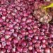 Philippines suspends onion imports