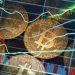 Crypto Bots Trading: Strategies for Automated Cryptocurrency Trading