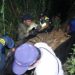 P72-M cannabis farm raided