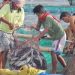 Ombudsman orders BFAR head’s dismissal; Agri dep’t names OIC