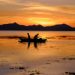 Filipino fishermen blame sand mining for declining catch