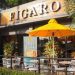 Figaro capex nears P1 billion, targets 400 stores