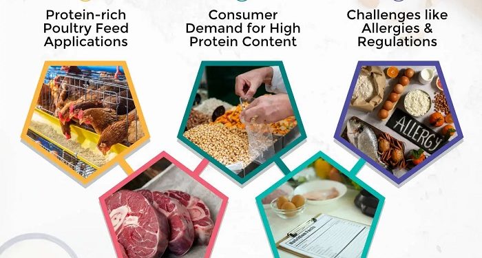 Key Trends to Look Out for in the Alternative Protein Market
