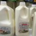 Philippine dairy imports to rise by 7.33% — FAO