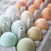 Egg Products for Professionals: The Secret Ingredient for Culinary Excellence