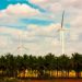 Alternergy starts building P10-B Tanay Wind Power Project