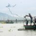 Oil spill at Bataan endangers marine life – Greenpeace