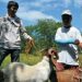 Goat, sheep flocks targeted for expansion by DA