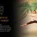 Arts & Culture (10/30/24)
