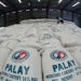 NFA sets palay buying price at P23-P25 per kilo