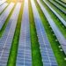 Tesco and Shell to power stores and EV stations with output from UK’s largest solar farm, originally meant for homes