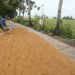 Agricultural output slumps in Q3