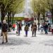 Retailers warn of inevitable price rises due to budget measures
