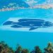 Blueleaf in talks with Chinese firms for floating solar projects