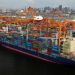 October trade gap widest in over two years