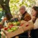 Labour backs £15m rescue fund to tackle food waste and feed those in need