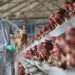 NZ poultry imports banned after bird flu outbreak