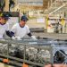 Stricter enforcement of Labor Code pushed amid dim Philippine employment outlook