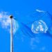 ‘Moderate’ global FDI growth seen on improved financing, pickup in M&A