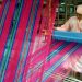 Textile industry revival seen starting with developing tropical fabric niche