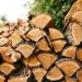 Fireplace Essentials: Choosing the Right Wood for Warmth and Ambiance