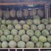 Durian exporter ships P8.2-M order to China