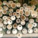 Mainstream use of bamboo in construction urged amid housing shortage and climate change