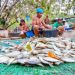 Sustainable fisheries, aquaculture to support coastal livelihoods — ADB