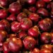 Agri dep’t questioned over onion imports ahead of harvest season