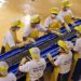 Factory output grows in January