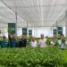 MPIC unit opens 3.5-hectare Bulacan greenhouse complex