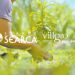 Villgro Philippines, SEARCA launch accelerator program for agri innovation