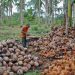 Agri trade deficit narrows 2.8% to $1 billion in Jan.