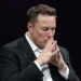Second-hand Teslas flood UK market as Elon Musk’s politics take toll