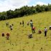 More community participation in greening program pushed