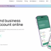 CEO Alona Shevtsova Announces Free Sends Personal Account Activation This Spring